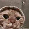 kira fox - @user696645957 - TikTok