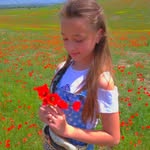 kirafox_13 - @kirafox_1308 - Instagram