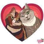 Kira Gilbert - @katara_the_cat - Instagram