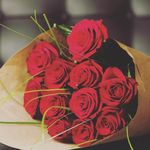 kira - @kirag_ilbert - Instagram