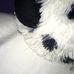 Kira Griffith - Facebook