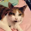 Kira Guthrie - @kiraguthrie2004 - TikTok