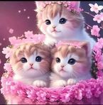 Kira Herrera - Facebook