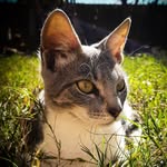 Kira Herrera🐱❤ - @kiraherrera76 - Instagram