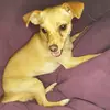 Kira - @kiraherrera24 - TikTok