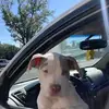 kiraherrera03 - @kiraherrera03 - TikTok