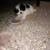 KIRAHERRERA. - @kiraherrera.80 - TikTok