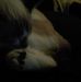 Kiera Holt - Facebook