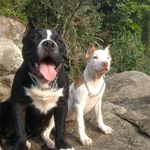 Kira & Kirk - @kira_and_kirk - Instagram