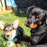 Kira & Kirk - @kira_and_kirk.clarkin - Instagram