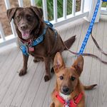 Kira & Bodhi Moody - @kiraandbodhi - Instagram