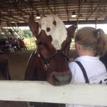 Kiara Mooney - @polkadot_396 - Instagram