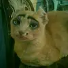 Kira<3 - @kiraramirez792 - TikTok