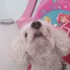✨KIRA😘 - @kira_ramirez.04 - TikTok
