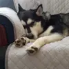 KIRA - @kiraramirez13 - TikTok