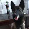 kiraramirez102 - @kiraramirez102 - TikTok