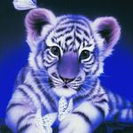 Kira Todd - @kiki_lt_2004 - Instagram