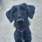 Kira Todd - Facebook