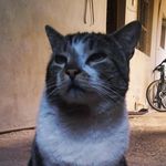 Kira_Toddy★ - @kira_.toddy - Instagram