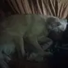 @kiravasquez1 - @scotykira - TikTok