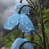 kirawahlstrom - @kirawahlstrom - TikTok