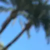 webb tingz - @kira_webb_ - TikTok