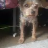 Kira Williams - @kirawilliams49 - TikTok