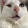 Kira - @kirawise14 - TikTok