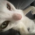 Kira Wise - Facebook