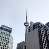 Kiran Bal - @kiranbal4 - TikTok