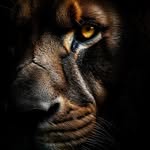 Kiran Gowda N - @kirangowda.n - Instagram