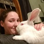 Kirby - @kirby_the_babbit - Instagram