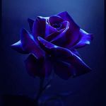 Kirby Bailey - @kirby.bailey.984 - Instagram