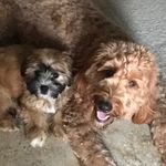 Kirby&Bailey - @kirby_baily - Instagram