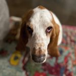 Kirby green - @kirby378 - Instagram