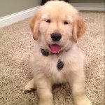Kirby Jackson - @kirby123212321 - Instagram