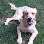 Kirby Jacobs - @kirb.y488 - Instagram