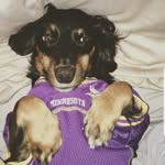 KiRBY JAMES - @kirbytheweenie - Instagram