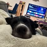 @kleiner.kirby - Instagram
