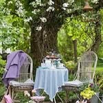 kirby - @kirbysimone1 - Instagram