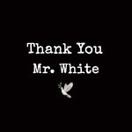 Kirby White - @kirbyiswhite101 - Instagram