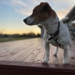 Kiri Wilson - @kiri.wilson.1 - Instagram