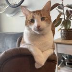 Kirk Albert - @kirkalbert0 - Instagram