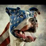 Kirk Baldwin - @grundell6 - Instagram