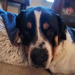 Kirk Bates - @kab1985 - Instagram