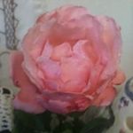 Mary Bates Kirk - @marybateskirk - Instagram