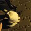 Kirk Bondad - @kirk._bondad - TikTok