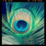 ZULA - @kirkboone964 - Instagram