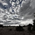 Kirk Brewer - @kirkbrewer - Instagram