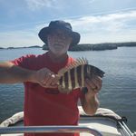 Kirk Brewer - @kirkbrewer88 - Instagram